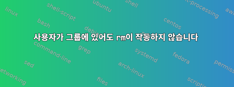 사용자가 그룹에 있어도 rm이 작동하지 않습니다