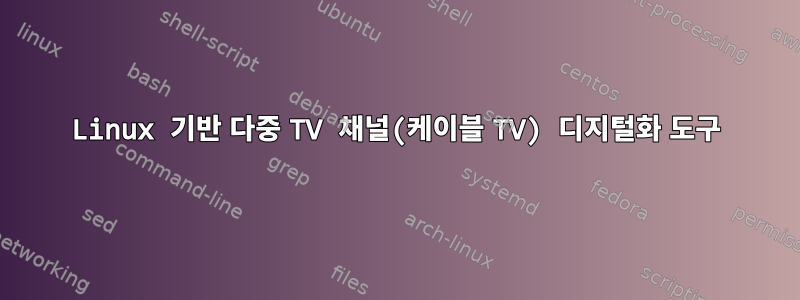 Linux 기반 다중 TV 채널(케이블 TV) 디지털화 도구