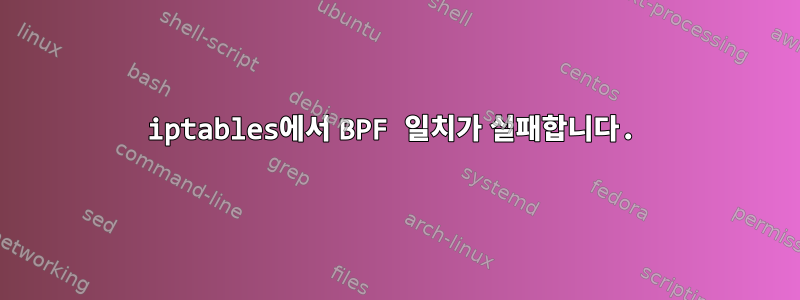 iptables에서 BPF 일치가 실패합니다.