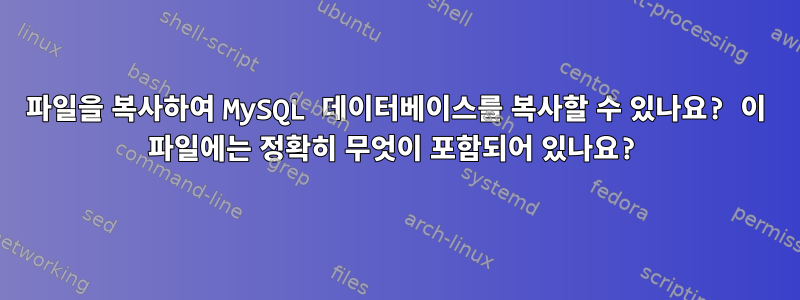 파일을 복사하여 MySQL 데이터베이스를 복사할 수 있나요? 이 파일에는 정확히 무엇이 포함되어 있나요?