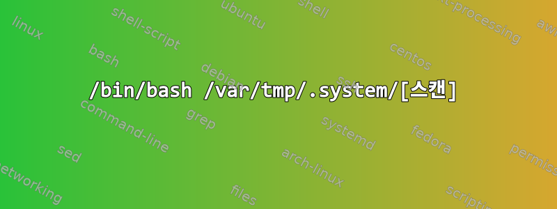 /bin/bash /var/tmp/.system/[스캔]