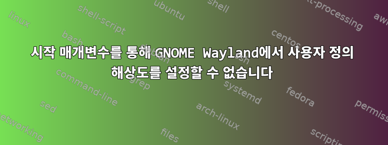 시작 매개변수를 통해 GNOME Wayland에서 사용자 정의 해상도를 설정할 수 없습니다