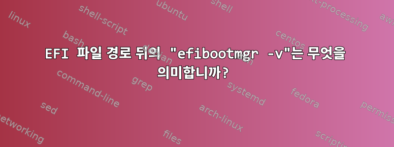 EFI 파일 경로 뒤의 "efibootmgr -v"는 무엇을 의미합니까?