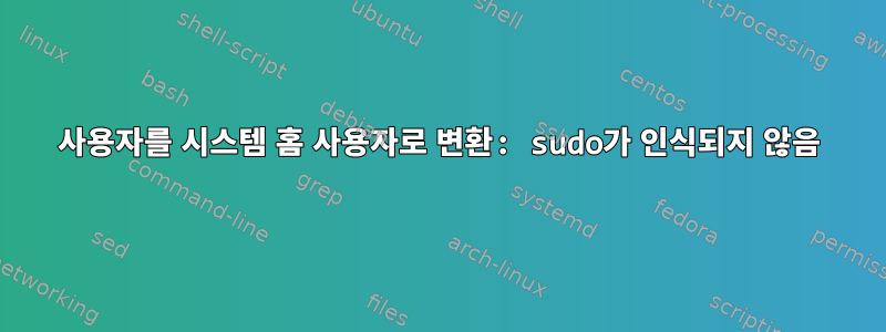 사용자를 시스템 홈 사용자로 변환: sudo가 인식되지 않음