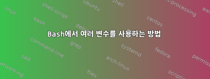 Bash에서 여러 변수를 사용하는 방법