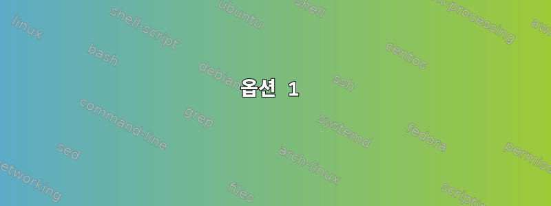 옵션 1