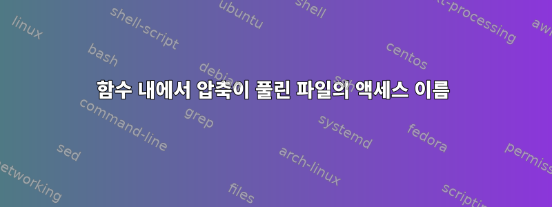 함수 내에서 압축이 풀린 파일의 액세스 이름