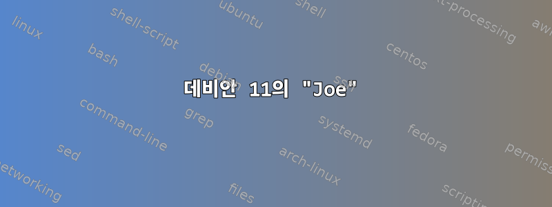 데비안 11의 "Joe"