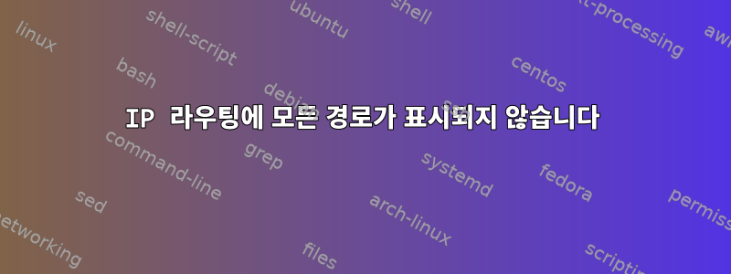 IP 라우팅에 모든 경로가 표시되지 않습니다