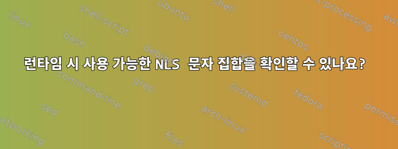 런타임 시 사용 가능한 NLS 문자 집합을 확인할 수 있나요?