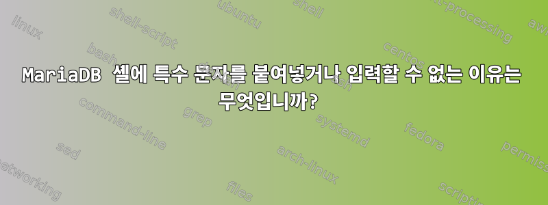 MariaDB 셸에 특수 문자를 붙여넣거나 입력할 수 없는 이유는 무엇입니까?