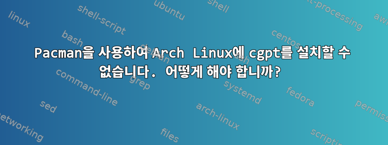 Pacman을 사용하여 Arch Linux에 cgpt를 설치할 수 없습니다. 어떻게 해야 합니까?