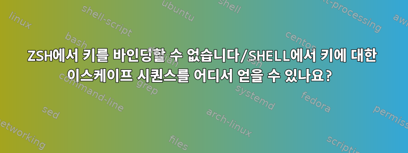 ZSH에서 키를 바인딩할 수 없습니다/SHELL에서 키에 대한 이스케이프 시퀀스를 어디서 얻을 수 있나요?