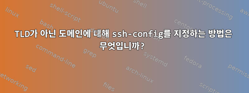 TLD가 아닌 도메인에 대해 ssh-config를 지정하는 방법은 무엇입니까?