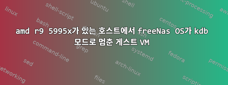 amd r9 5995x가 있는 호스트에서 freeNas OS가 kdb 모드로 멈춘 게스트 VM