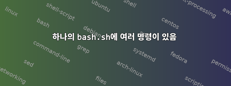 하나의 bash.sh에 여러 명령이 있음