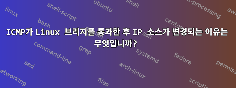 ICMP가 Linux 브리지를 통과한 후 IP 소스가 변경되는 이유는 무엇입니까?