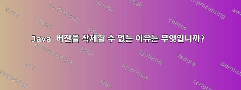 Java 버전을 삭제할 수 없는 이유는 무엇입니까?