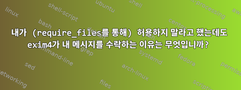 내가 (require_files를 통해) 허용하지 말라고 했는데도 exim4가 내 메시지를 수락하는 이유는 무엇입니까?