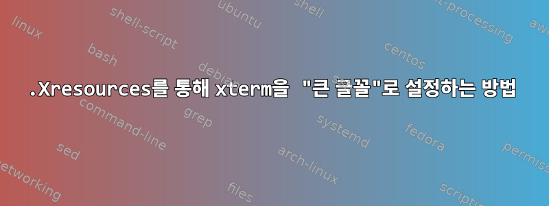 .Xresources를 통해 xterm을 "큰 글꼴"로 설정하는 방법