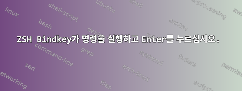 ZSH Bindkey가 명령을 실행하고 Enter를 누르십시오.