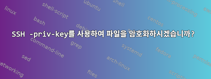 SSH -priv-key를 사용하여 파일을 암호화하시겠습니까?