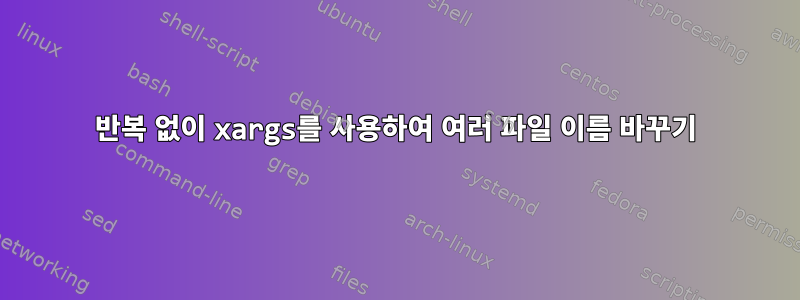 반복 없이 xargs를 사용하여 여러 파일 이름 바꾸기