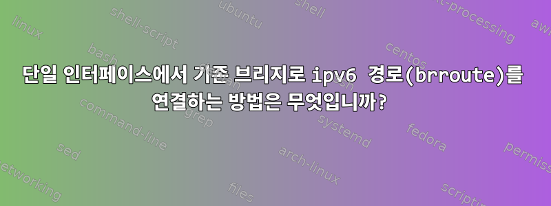 단일 인터페이스에서 기존 브리지로 ipv6 경로(brroute)를 연결하는 방법은 무엇입니까?