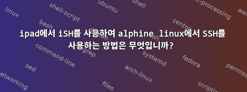 ipad에서 iSH를 사용하여 alphine linux에서 SSH를 사용하는 방법은 무엇입니까?