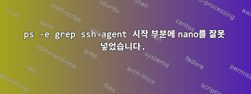 ps -e grep ssh-agent 시작 부분에 nano를 잘못 넣었습니다.