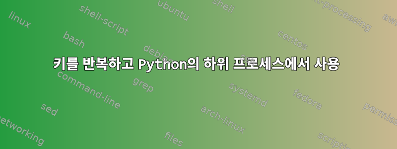 키를 반복하고 Python의 하위 프로세스에서 사용