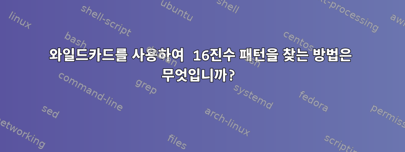 와일드카드를 사용하여 16진수 패턴을 찾는 방법은 무엇입니까?