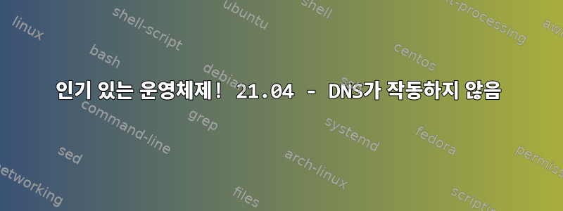 인기 있는 운영체제! 21.04 - DNS가 작동하지 않음