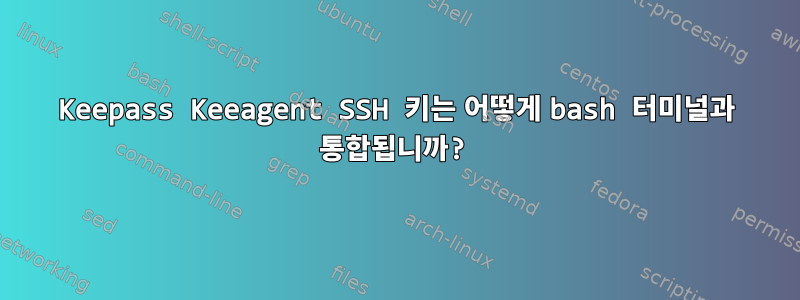 Keepass Keeagent SSH 키는 어떻게 bash 터미널과 통합됩니까?