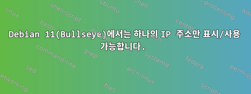 Debian 11(Bullseye)에서는 하나의 IP 주소만 표시/사용 가능합니다.