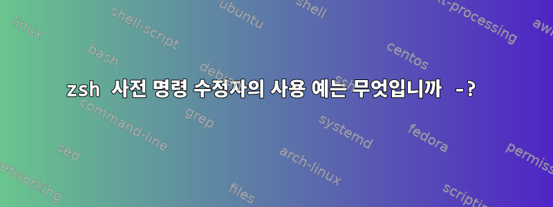 zsh 사전 명령 수정자의 사용 예는 무엇입니까 -?