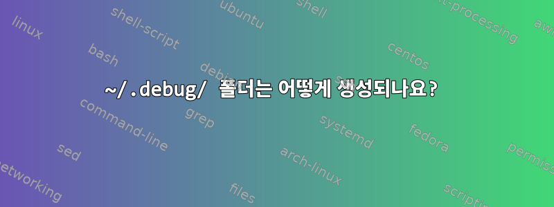 ~/.debug/ 폴더는 어떻게 생성되나요?