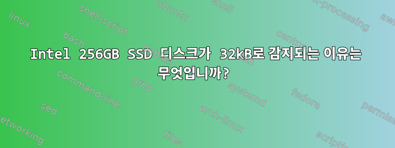 Intel 256GB SSD 디스크가 32kB로 감지되는 이유는 무엇입니까?