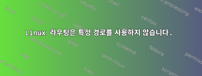 Linux 라우팅은 특정 경로를 사용하지 않습니다.