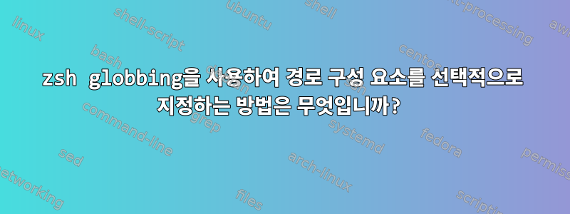 zsh globbing을 사용하여 경로 구성 요소를 선택적으로 지정하는 방법은 무엇입니까?