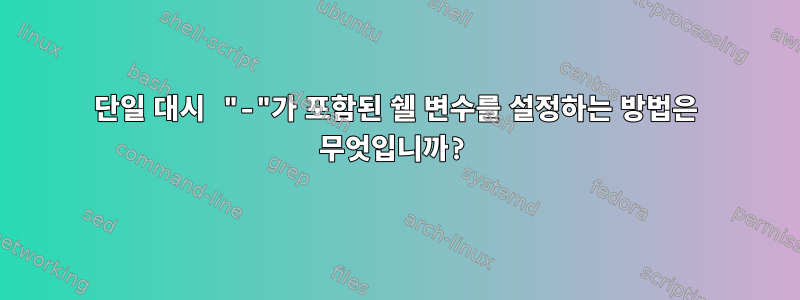 단일 대시 "-"가 포함된 쉘 변수를 설정하는 방법은 무엇입니까?