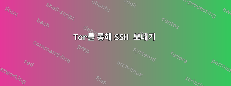 Tor를 통해 SSH 보내기