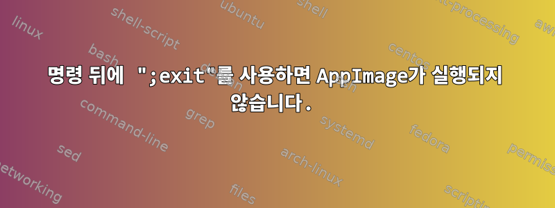 명령 뒤에 ";exit"를 사용하면 AppImage가 실행되지 않습니다.