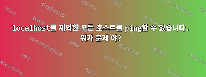 localhost를 제외한 모든 호스트를 ping할 수 있습니다. 뭐가 문제 야?