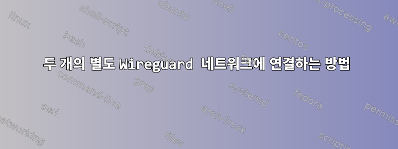 두 개의 별도 Wireguard 네트워크에 연결하는 방법