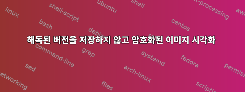 해독된 버전을 저장하지 않고 암호화된 이미지 시각화