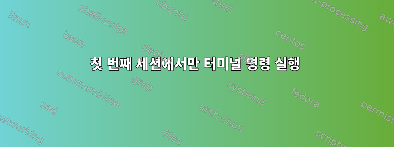 첫 번째 세션에서만 터미널 명령 실행