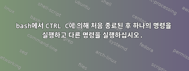 bash에서 CTRL C에 의해 처음 종료된 후 하나의 명령을 실행하고 다른 명령을 실행하십시오.