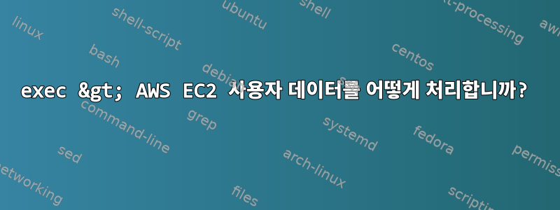 exec &gt; AWS EC2 사용자 데이터를 어떻게 처리합니까?