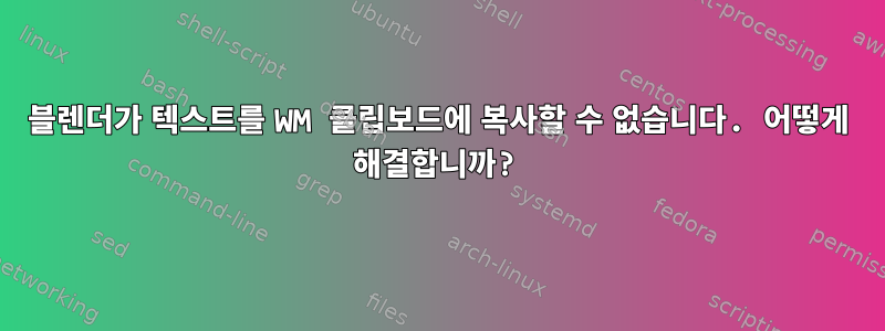 블렌더가 텍스트를 WM 클립보드에 복사할 수 없습니다. 어떻게 해결합니까?